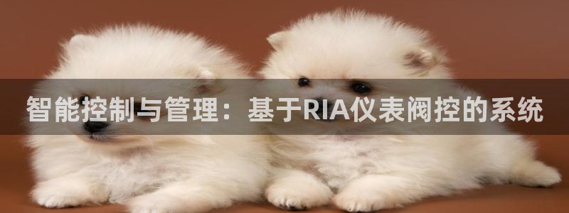 新宝gg登录页面