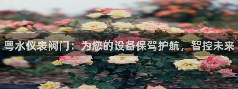 新宝gg注册登录