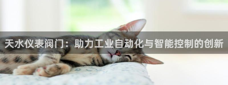 新宝gg登陆平台