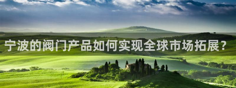 新宝gg入口网址