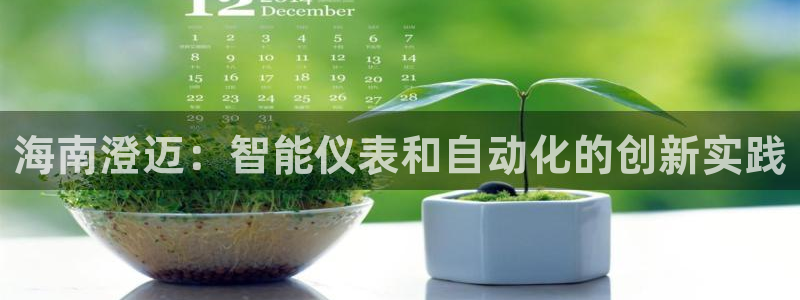 新宝gg辅助