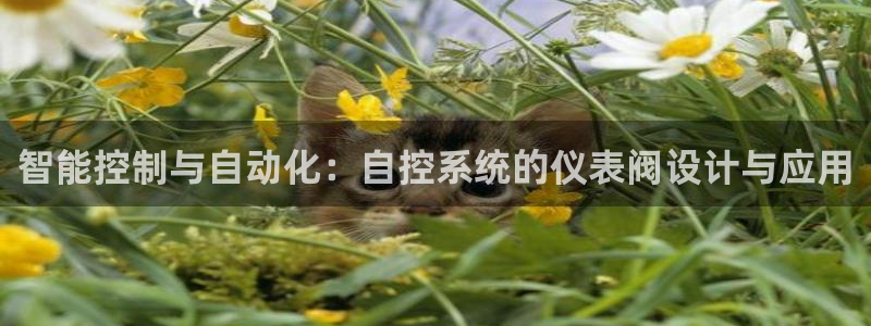 新宝gg登录地址