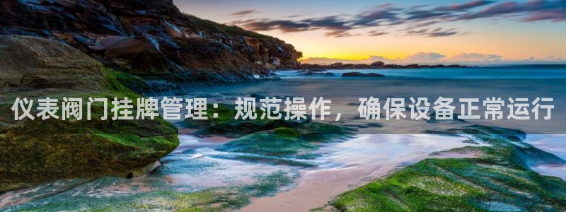 新宝gg登录