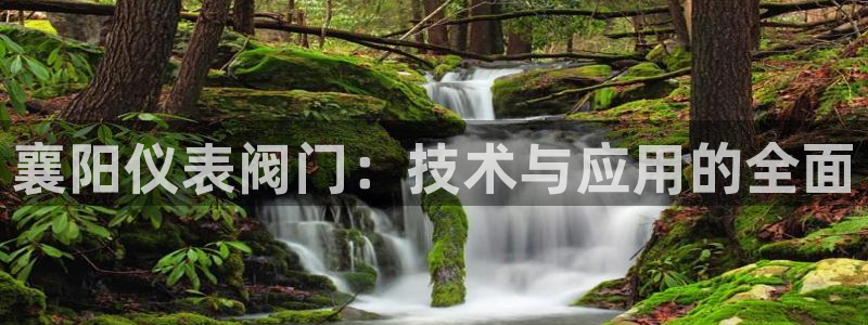 新宝gg登录链接