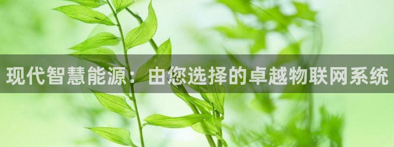 新宝gg如何
