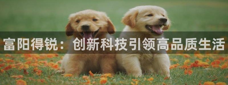 新宝gg创造奇迹平台