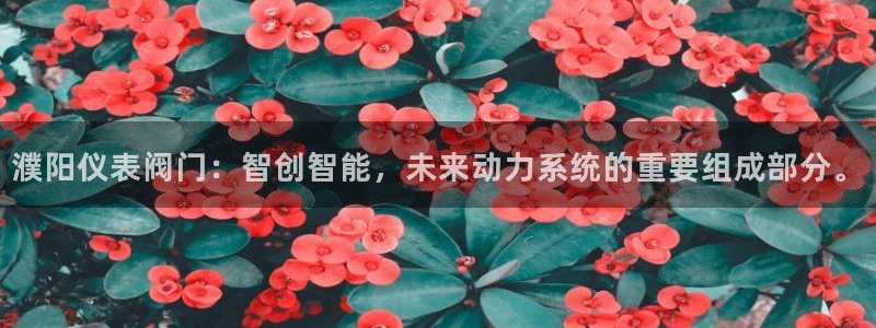 新宝gg主管