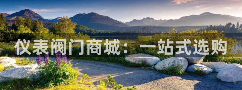 新宝 gg 登录注册