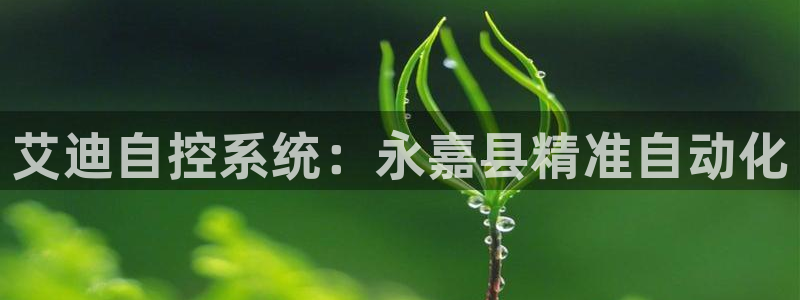 新宝gg群