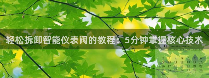 新宝GG之家
