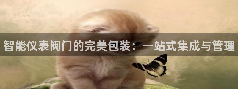 新宝gg娱乐客户端下载