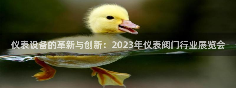新宝gg 金苹果