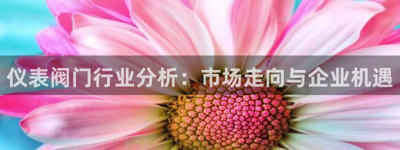 新宝gg游戏登录