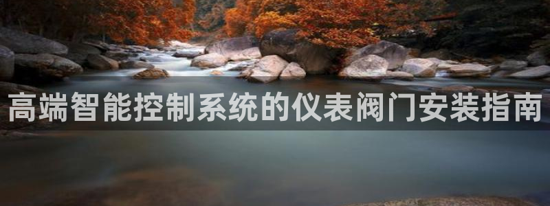 新宝gg登