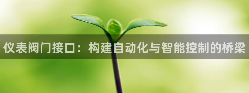 新宝gg 开户
