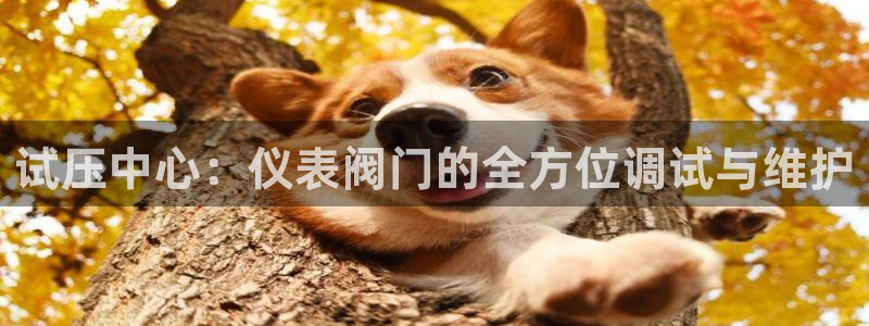 新宝gg平台登录